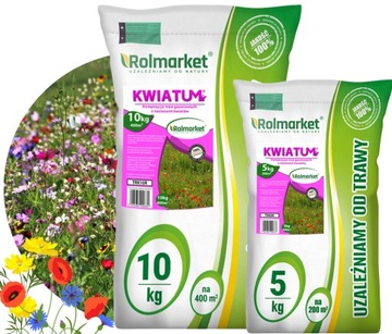 TRAWA Z KWIATAMI MALOWANA KWIETNA ŁĄKA MIESZANKA NASION KWITNĄCYCH 15KG