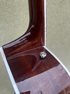 Электроакустическая гитара Samick SGW S-350D 3TS