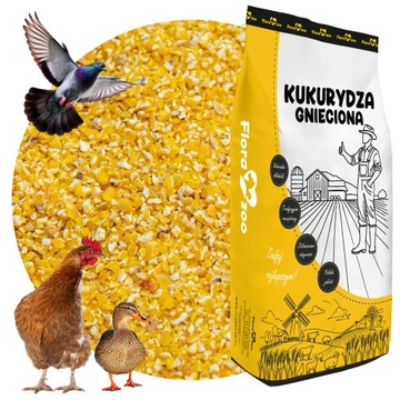 KUKURYDZA GNIECIONA PASZA KARMA DROBNA ZIARNO DLA DROBIU KUR KACZEK GOŁĘBI