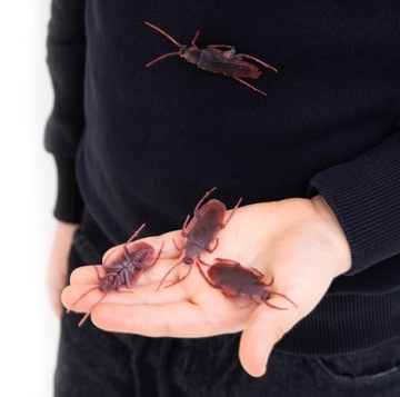 ПЛАСТИКОВЫЕ ТАРАКАНЫ Украшение на Хэллоуин страшные ЖУКИ 10 шт.