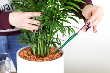 СЕРАМИС подложка для ПАЛЬМ - не разливать, 3л