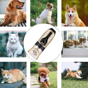 СТРИЦЕПКИ ДЛЯ СОБАК КОШКИ ДЛЯ ЖИВОТНЫХ НАБОР ИЗ 4-Х ПРЕДМЕТОВ ВНИМАНИЕ