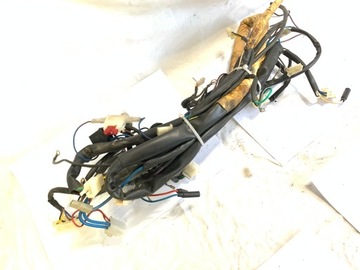 Жгут проводов Malaguti Centro 50