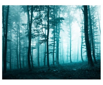 Fototapeta 368x280cm Turkusowy las we mgle
