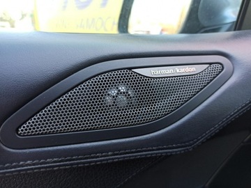 BMW Seria 6 F06-F12-F13 Coupe 640d 313KM 2014 BMW 640 X-Drive, 312 KM, 137 tys km, zdjęcie 24