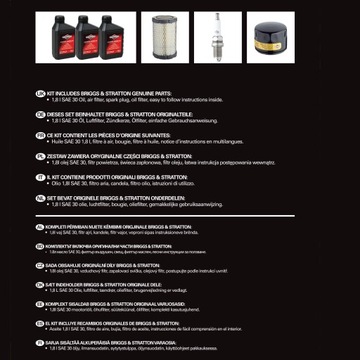 Zestaw obsługowy Briggs Intek 31R7, 31R8, 31R9