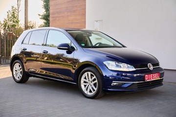 Volkswagen Golf VII Hatchback 3d Facelifting 1.6 TDI-CR DPF BMT 115KM 2019 VW GOLF VII 1.6 diesel 115KM Navi DVD led Alu16 zarejestrowany w Polsce, zdjęcie 13