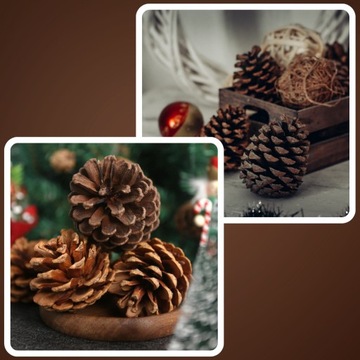 SZYSZKA SZYSZKI SOSNOWE NATURALNE OZDOBA NA STROIK WIANEK DEKORACJA 30 SZT