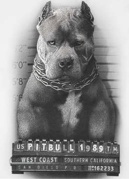 Tričko Pit Bull Mugshot II White L