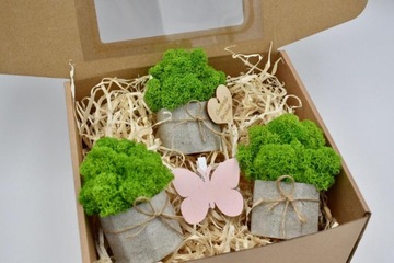 Весенний набор крабовых лесов