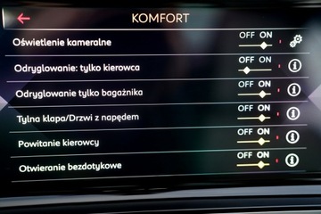  DS Automobiles DS 7 Crossback JASNA SKÓRA masaze, zdjęcie 36