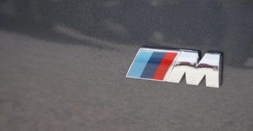 BMW Seria 3 F30-F31-F34 Limuzyna Facelifting 2.0 320d 190KM 2018 BMW Seria 3 2.0 Diesel 190KM, zdjęcie 11