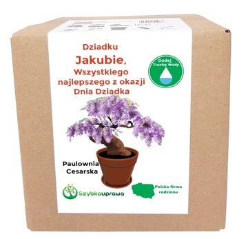 Zestaw BONSAI paulownia Dzień Dziadka Jakub