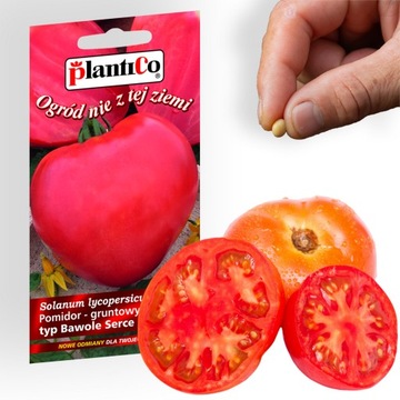 Nasiona warzyw POMIDOR GRUNTOWY wysoki BAWOLE SERCE oxheart 0,2g. SŁODKI
