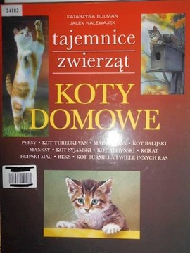 Koty domowe - Katarzyna Bulman