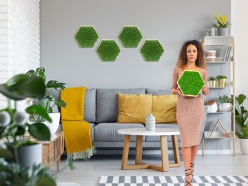 Мох ИСЛАНДСКИЙ, стабилизированный, светло-зеленый, НАТУРАЛЬНЫЙ, декоративный