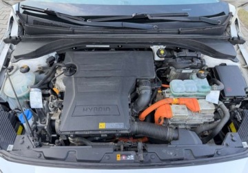 Hyundai IONIQ Hatchback 1.6 GDi 141KM 2018 Hyundai IONIQ 1.6 Hybrid 141KM F-LED Infinity NAV Climatronic Kamera SERWI, zdjęcie 14