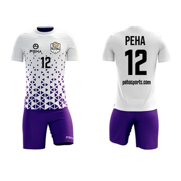 Волейбольная футболка PEHA Blaze - бесплатная печать
