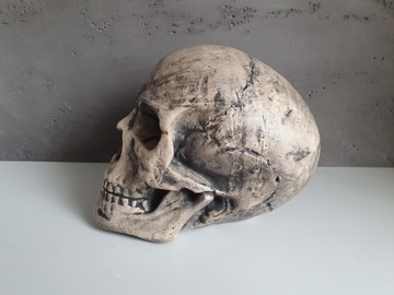 Череп Голова Хэллоуин БОЛЬШОЙ 20 см XXXL