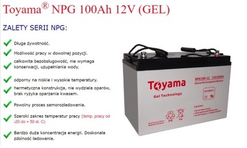 Гелевый аккумулятор GEL Toyama NPG 100 12 В 100 Ач