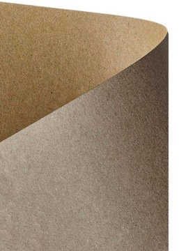 Papier Karton Kraft Eko 300 g/m2 100 arkuszy A5