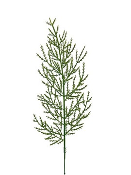 GAŁĄZKA ASPARAGUS DO STROIKA REALISTYCZNA CHOINKA SZTUCZNA DEKORACJA 3 SZT