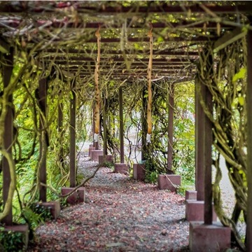 УДАЛЕНИЕ МУХ ЛЕНТА ОТ КОМАРОВ ЛЕНТА ЛОВУШКА В РУЛОНЕ 4 ШТ.