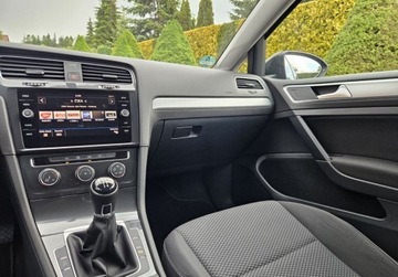 Volkswagen Golf VIII Hatchback 2.0 TDI SCR 115KM 2019 Volkswagen Golf Niski przebieg 88 tys,1.6 Diesel, Faktura,Polecam 2.0, zdjęcie 7