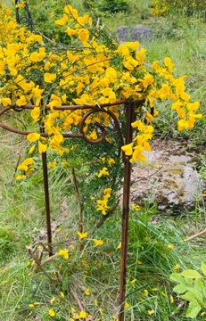 Стильная опора для растений, цветочных кустов, ПЕРГОЛА, сплошная, 40/60 см, 2 шт.