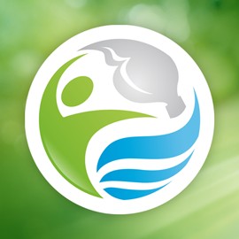 Bref Prenature Gel для туалетного грейпфрута 700 мл