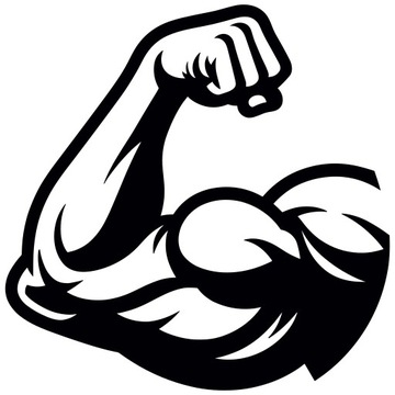 OBRAZ AŻUROWY BICEPS KULTURYSTYKA FITNESS SIŁOWNIA DEKORACJA POKOJU 3D