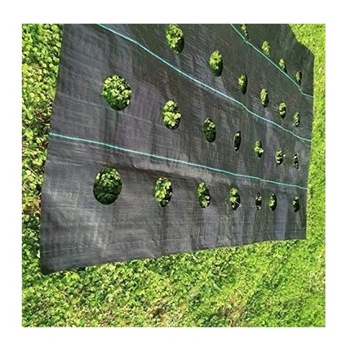 Агроткань с ОТВЕРСТИЯМИ для ЧЕСНОКА,ЛУКА,САЛАТА,других Овощей 1,60х10м с ​​УФ