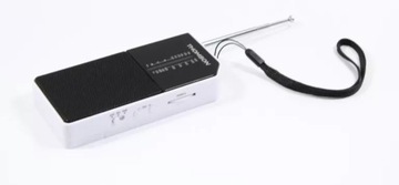 РАДИО ТОМСОН RT205