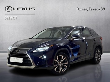 Lexus RX IV SUV 300t 238KM 2019 Lexus RX 200t / 300 Prestige MY19 IV (2015-2020) L