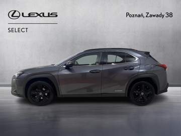 Lexus UX 2022 Lexus UX 250h GPF F Impression 2WD Lexus UX 250h G, zdjęcie 4