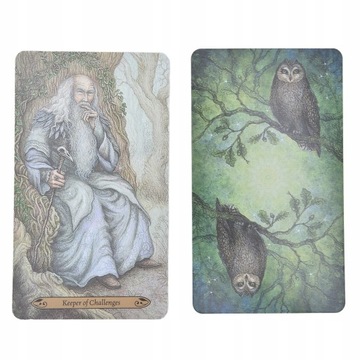 НАБОР ИГРАЛЬНЫХ КАРТ ТАРО ДЕМОНОВ ЛЕС