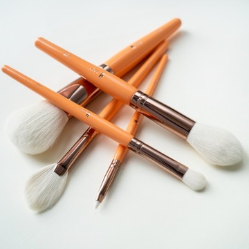 Набор кистей для макияжа Fresh IBRA Makeup