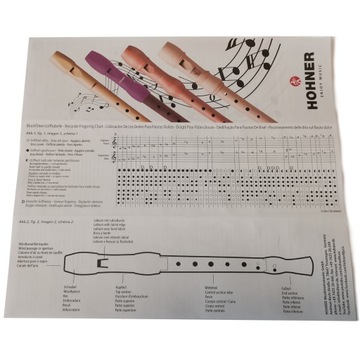 9555 Flet Renesansowy Hohner +Szkoła gry...Absonic