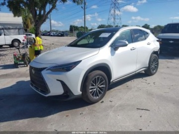Lexus NX II 2025 Lexus NX 350 Luxury, 2025r. 4x4, 2.4L 2.4 Benzyna 275KM, zdjęcie 1