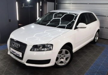 Audi A2 2010 Audi A3 3-drzwiowe Zarejestrowany 1.4 Benzyna 125KM, zdjęcie 21