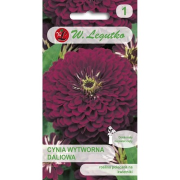 Nasiona cynie Wytworna Daliowa VIOLET QUEEN 1 g