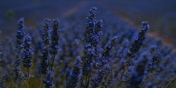 Day & Night Classic Men 100 мл JFenzi *