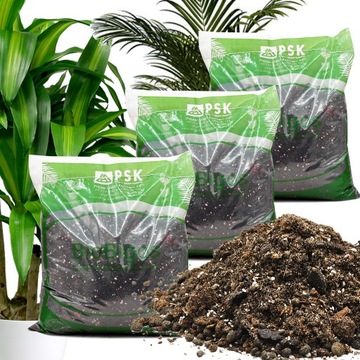 BIGOS Przepuszczalna Ziemia Filodendron Palma 15L