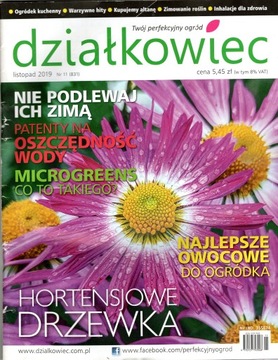 Działkowiec 11 / 2019
