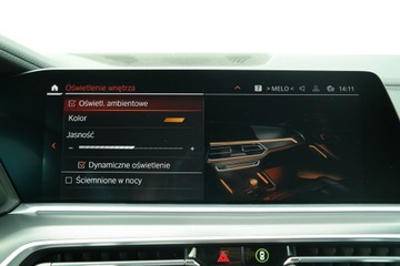 BMW X6 G06 2020 BMW X6 BMW X6 xDrive40d M Sport Adaptacyjne Zawies, zdjęcie 29