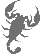 Отражатели, ЖЕЛЕЗНЫЕ НАШИВКИ, Черви, Веселая нашивка