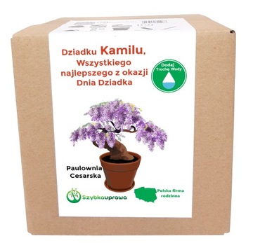 Zestaw BONSAI paulownia Dzień Dziadka Kamil