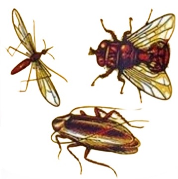 Инсектицид от различных насекомых HIT Insect Killer Cobra Spray - 400 мл