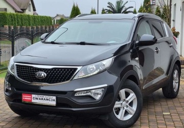 Kia Sportage III SUV Facelifting 1.6 GDI 135KM 2015 Kia Sportage Kia Sportage 1.6 Benzyna 135KM, zdjęcie 31