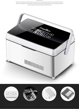 Medycyna, Profesjonalna Lodówka Insulinowa